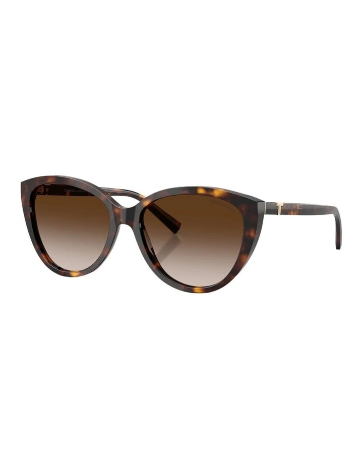 Acetate Sunglasses in Tortoise image 1