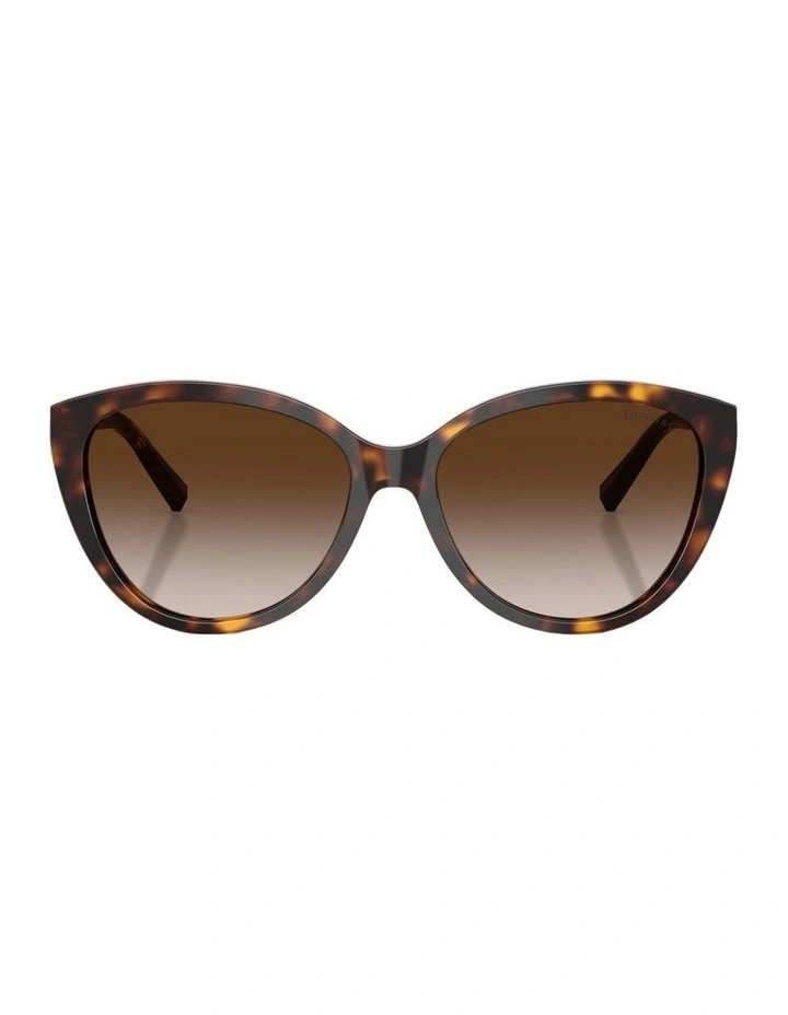 Acetate Sunglasses in Tortoise image 2