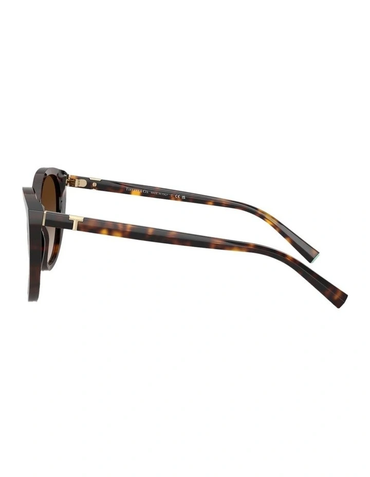Acetate Sunglasses in Tortoise image 3