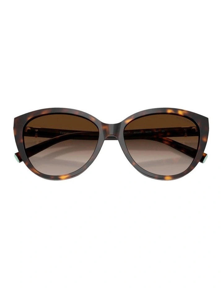 Acetate Sunglasses in Tortoise image 4