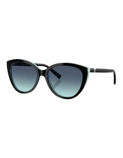 Acetate Sunglasses in Black