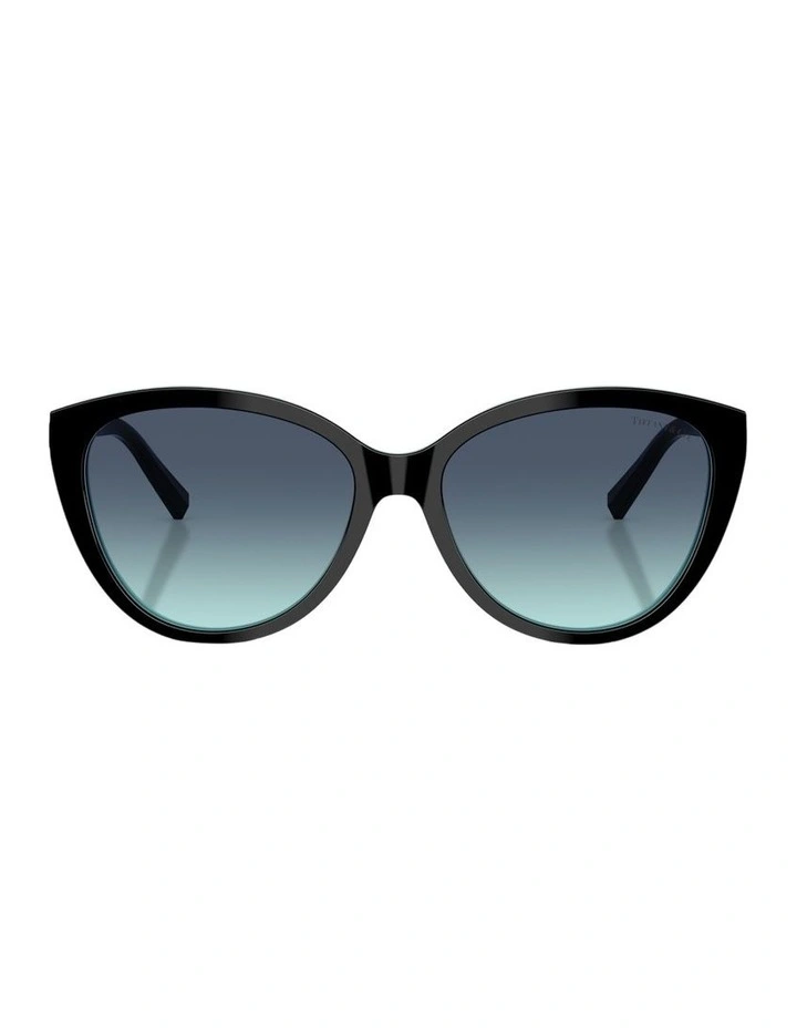 Acetate Sunglasses in Black image 2