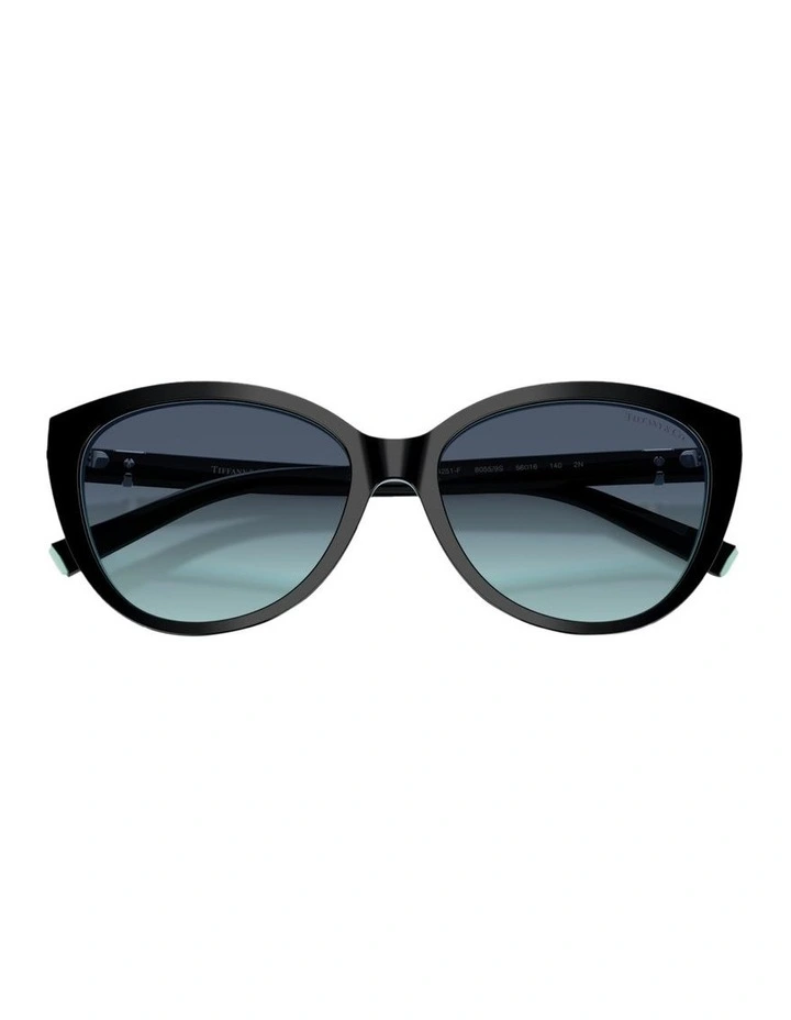 Acetate Sunglasses in Black image 4