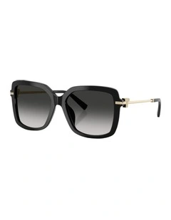 Acetate Sunglasses in Black