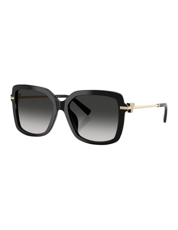 Acetate Sunglasses in Black image 1