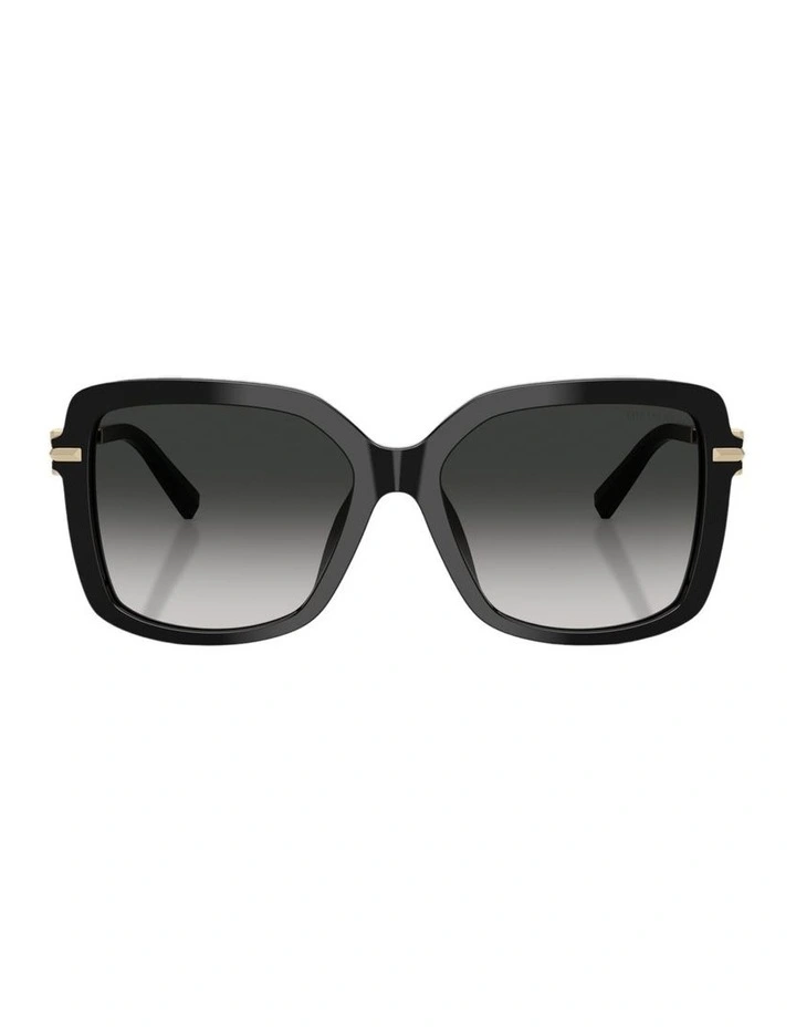 Acetate Sunglasses in Black image 2