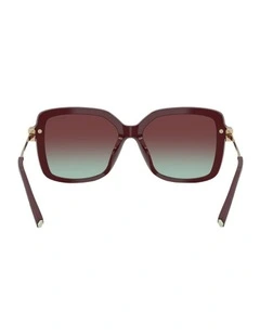 Acetate Sunglasses in Red