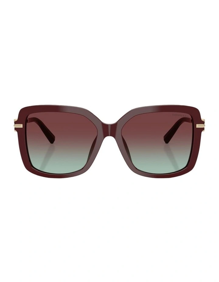 Acetate Sunglasses in Red image 2