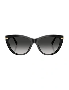 Acetate Sunglasses in Black