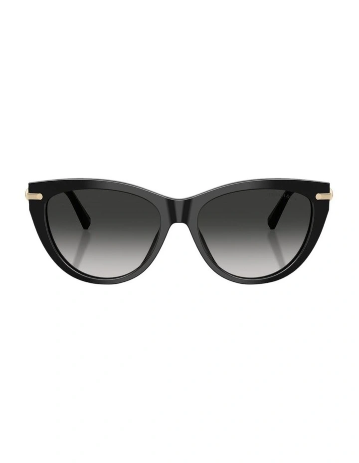 Acetate Sunglasses in Black image 1