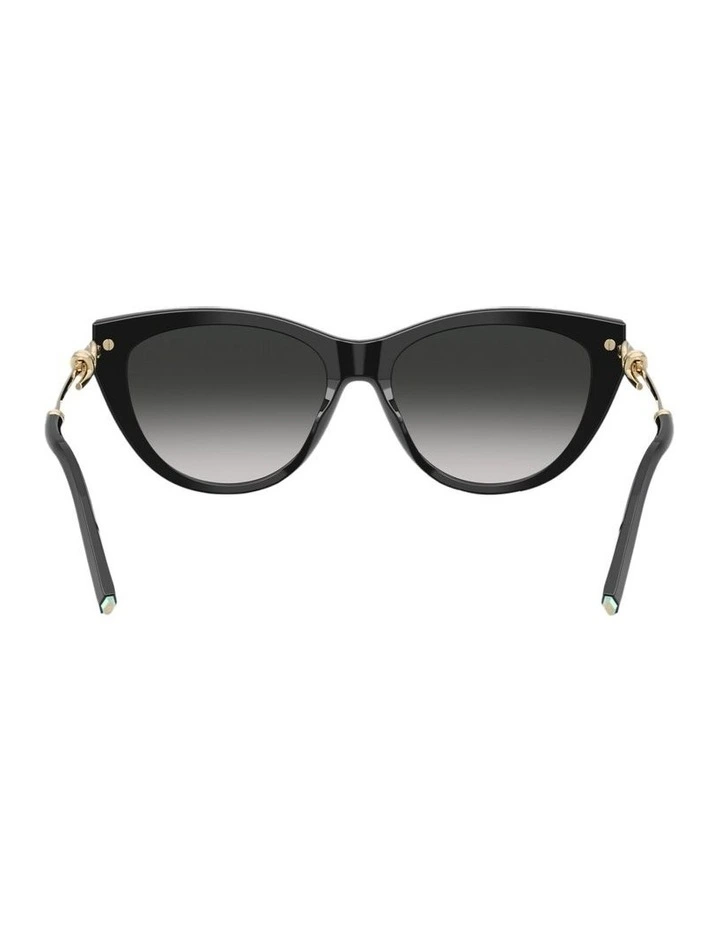 Acetate Sunglasses in Black image 2