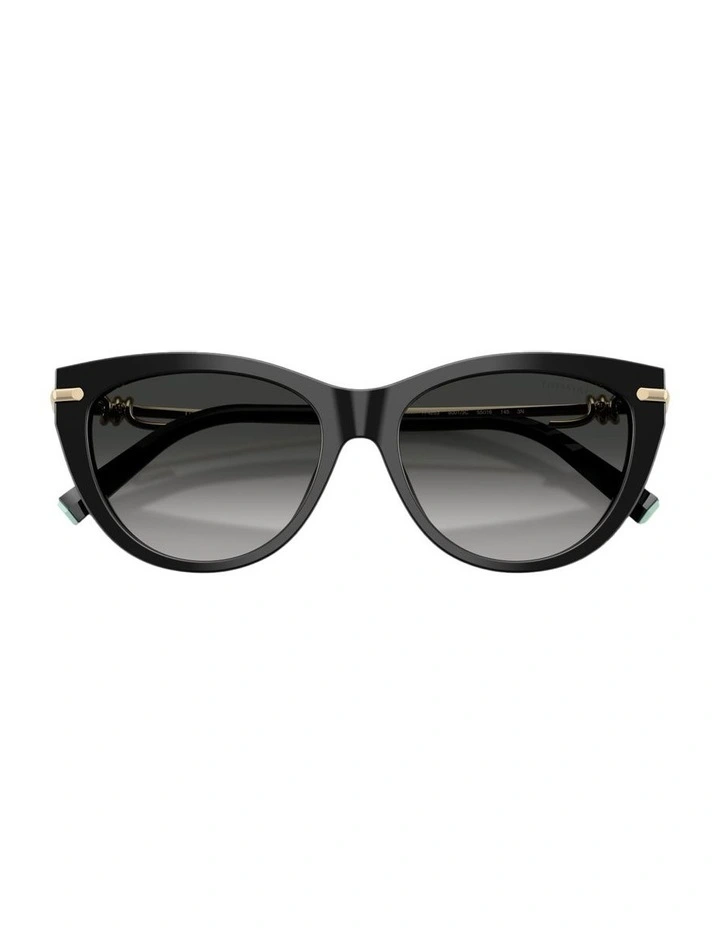 Acetate Sunglasses in Black image 3