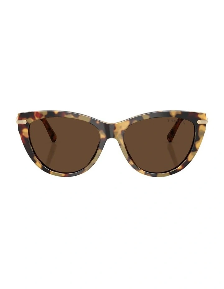 Acetate Sunglasses in Tortoise image 2
