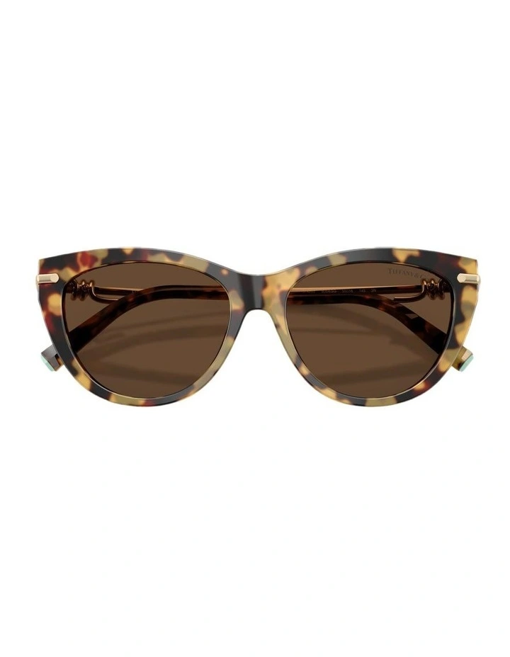 Acetate Sunglasses in Tortoise image 4