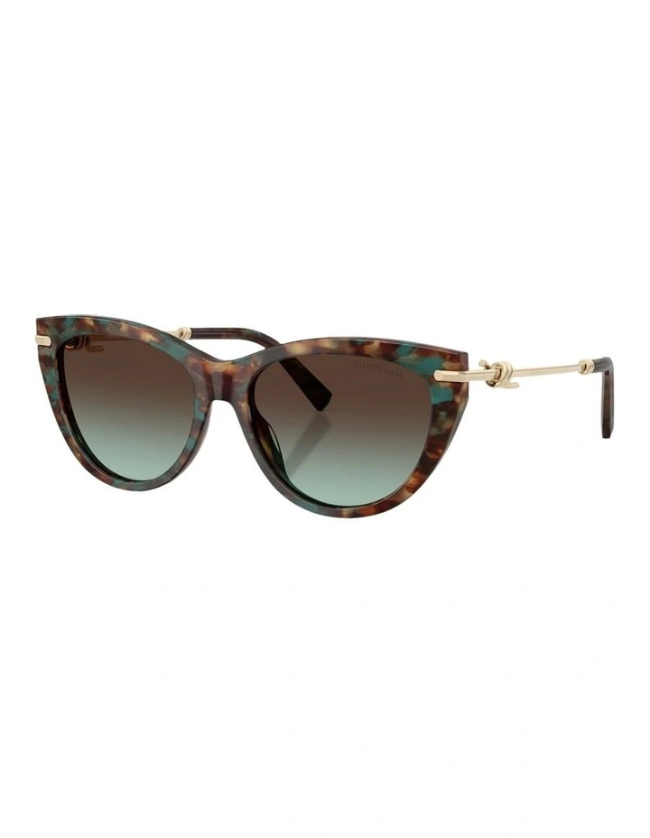 Acetate Sunglasses in Tortoise image 1