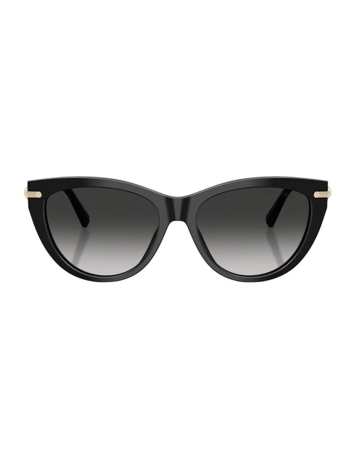 Acetate Sunglasses in Black image 1
