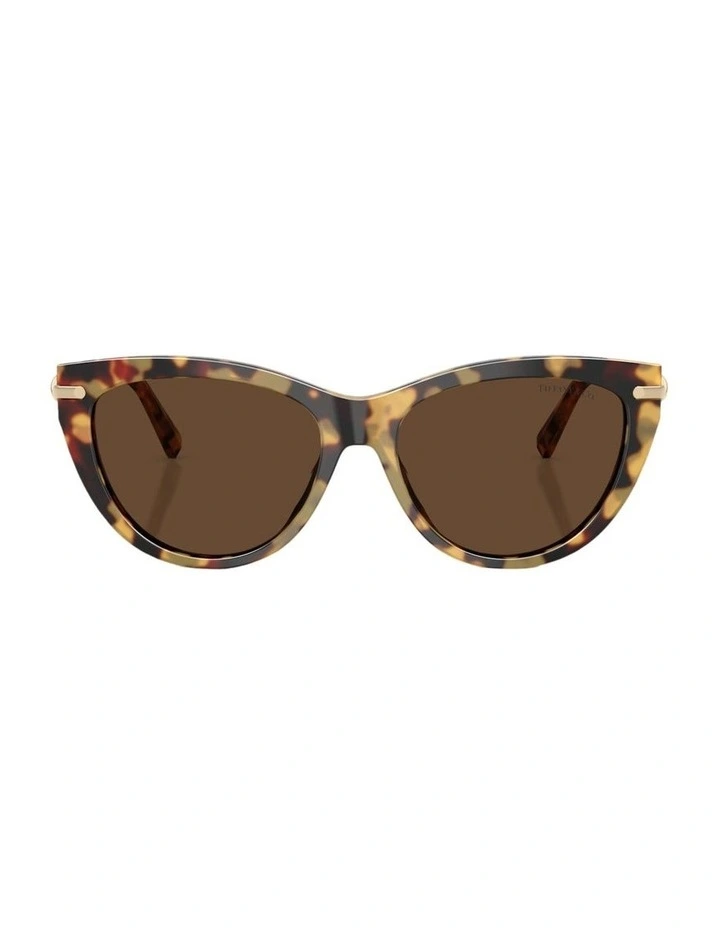 Acetate Sunglasses in Tortoise image 2