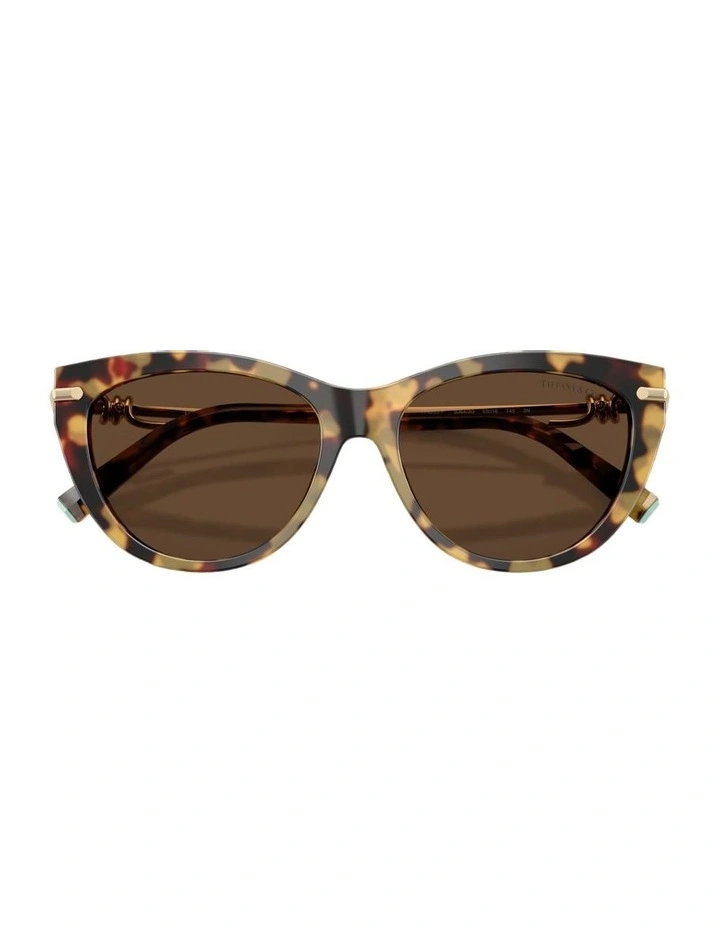 Acetate Sunglasses in Tortoise image 4