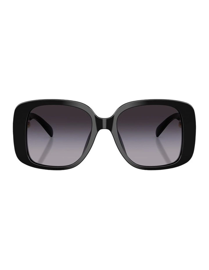 Acetate Sunglasses in Black image 1