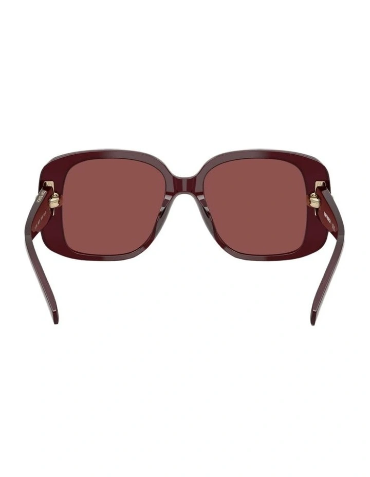 Acetate Sunglasses in Purple image 2