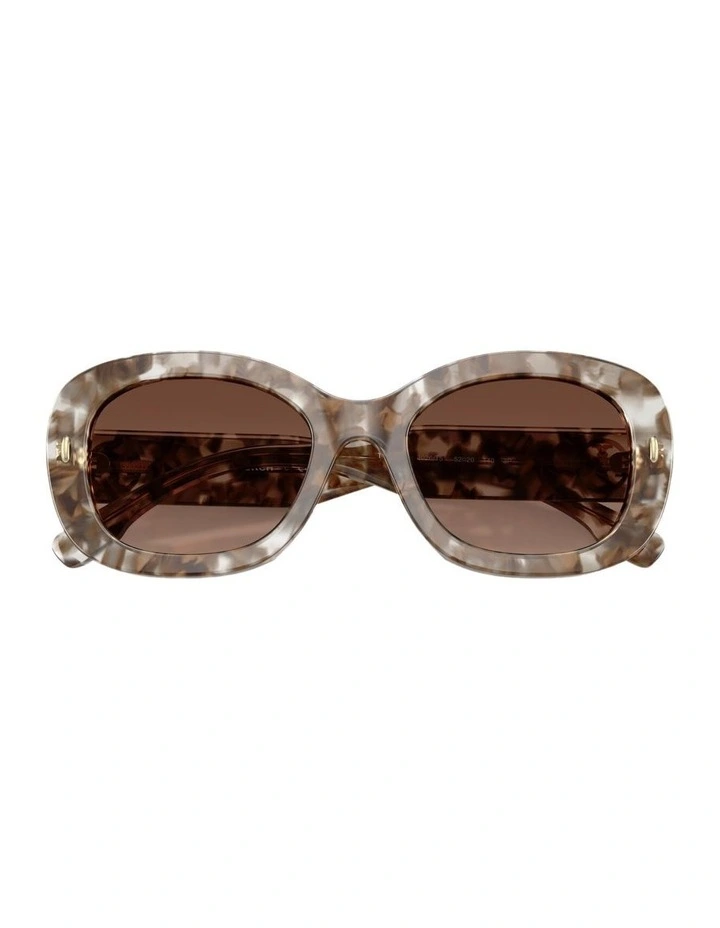 Acetate Polarised Sunglasses in Brown image 3