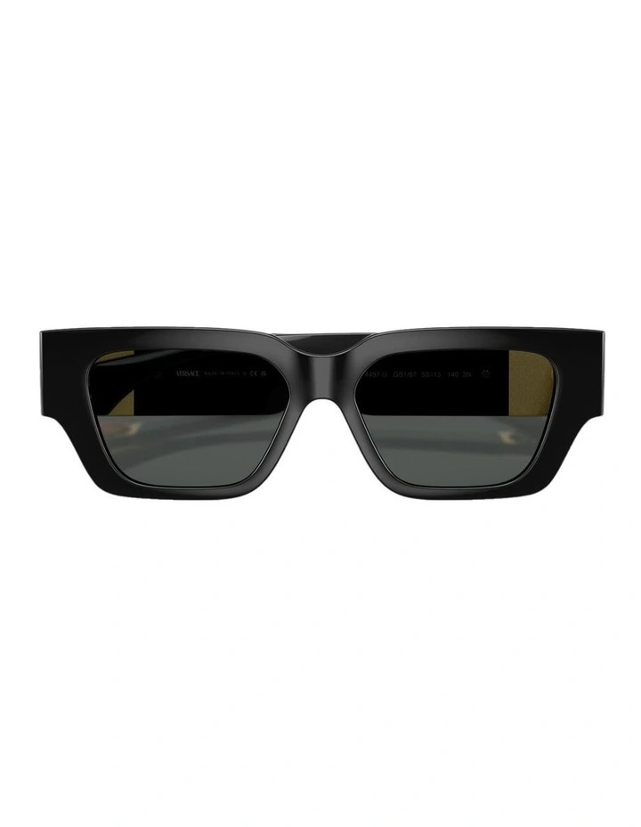 Injected Sunglasses in Black image 4