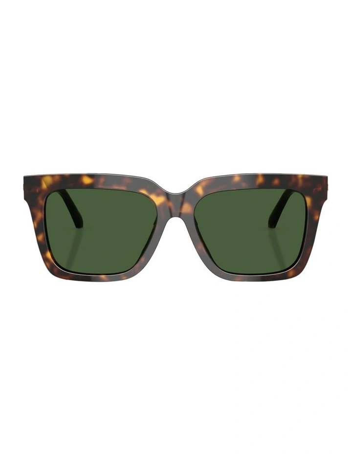 Acetate Sunglasses in Tortoise image 1