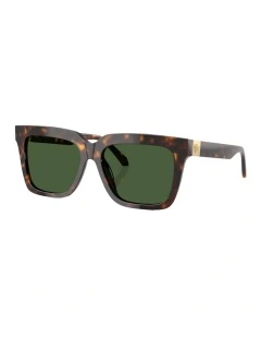 Acetate Sunglasses in Tortoise