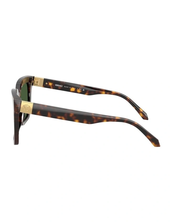 Acetate Sunglasses in Tortoise image 3