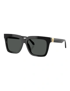 Acetate Sunglasses in Black