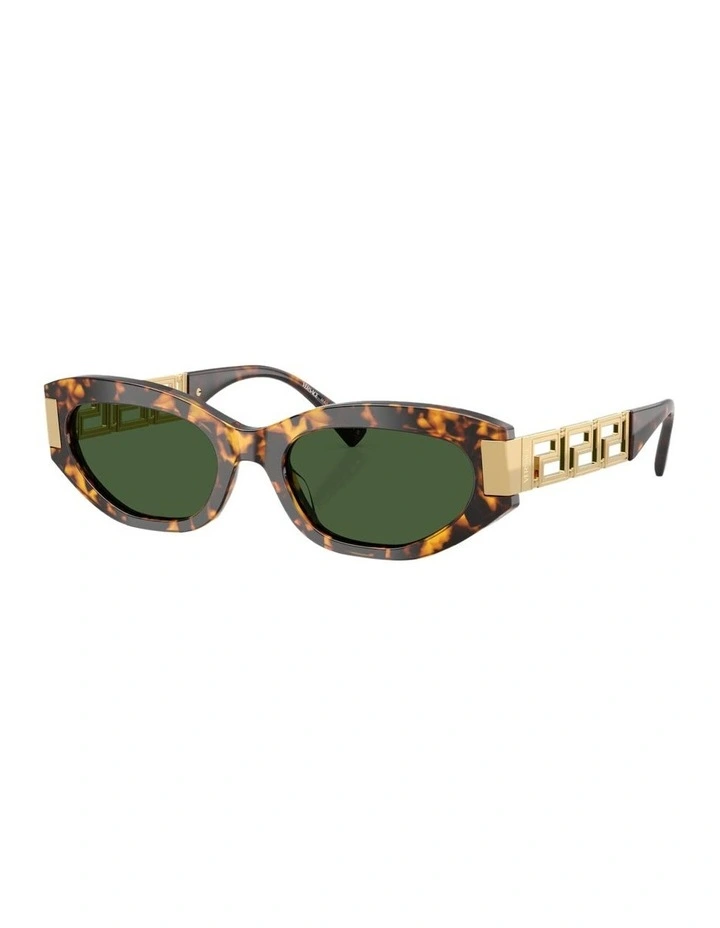 Acetate Sunglasses in Tortoise image 1