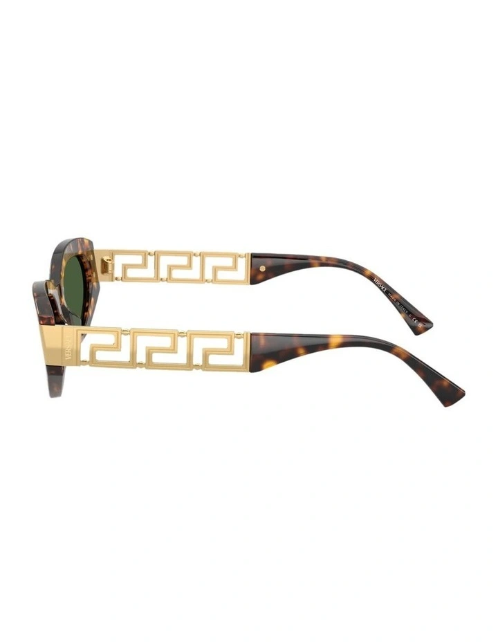 Acetate Sunglasses in Tortoise image 3
