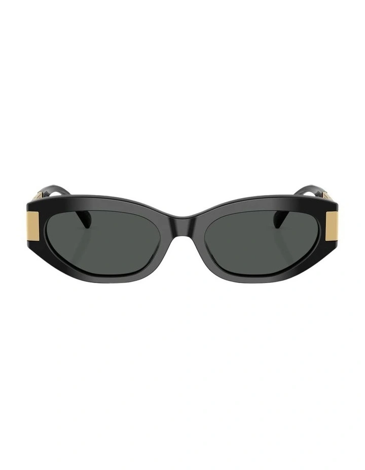 Acetate Sunglasses in Black image 1