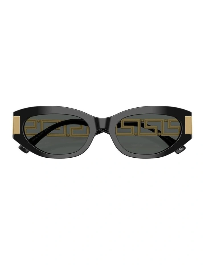 Acetate Sunglasses in Black image 3