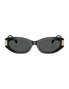 Acetate Sunglasses in Black