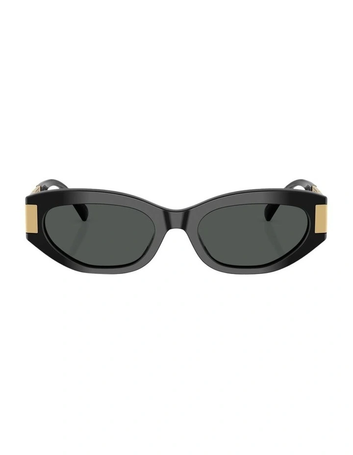 Acetate Sunglasses in Black image 1