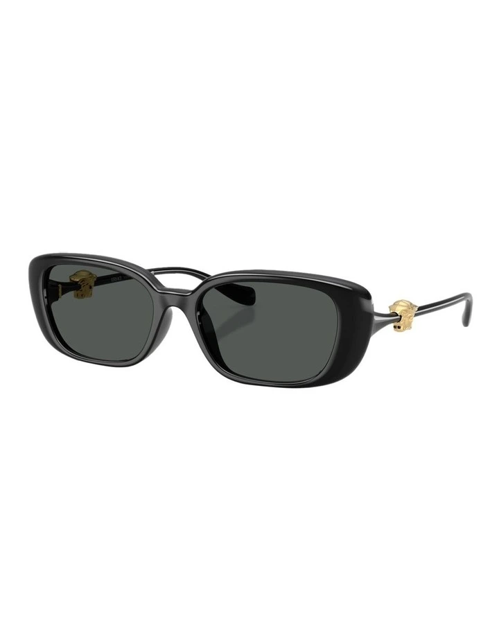 Injected Sunglasses in Black image 1