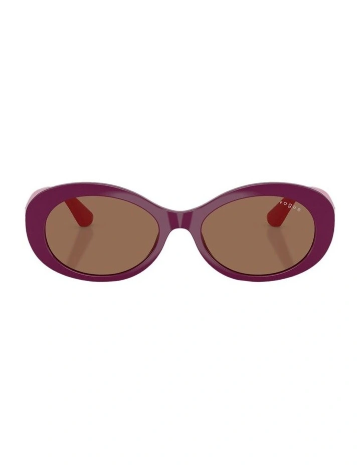 Nylon Sunglasses in Violet image 1