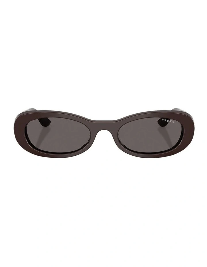 Acetate Sunglasses in Brown image 2