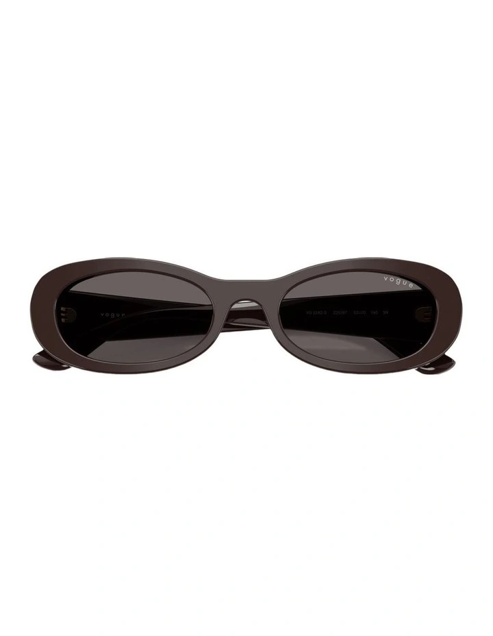 Acetate Sunglasses in Brown image 4