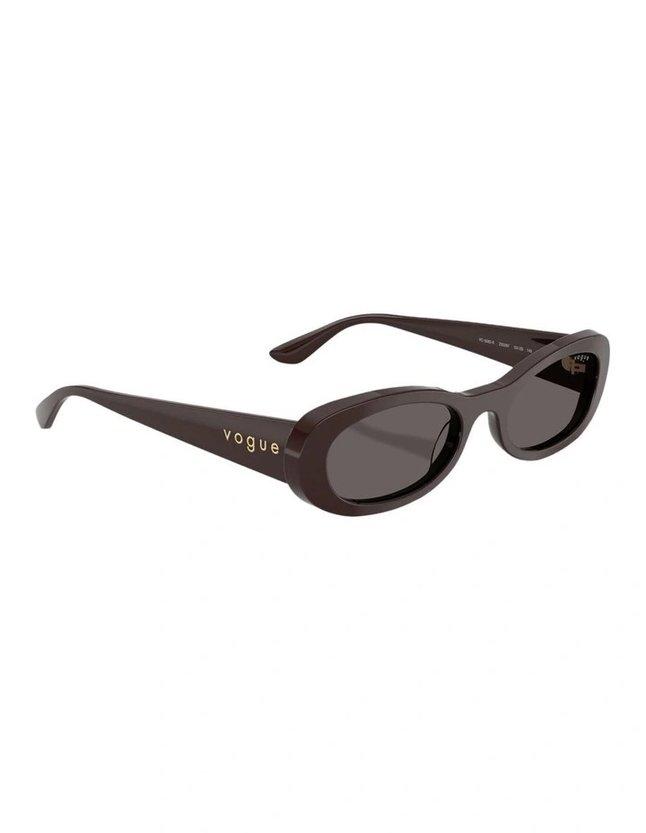 Acetate Sunglasses in Brown image 5