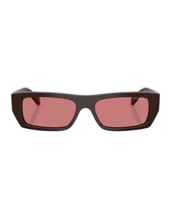 Acetate Sunglasses in Brown