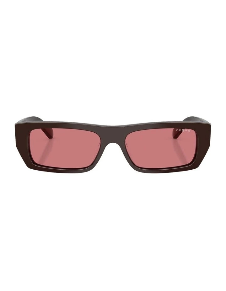 Acetate Sunglasses in Brown image 1