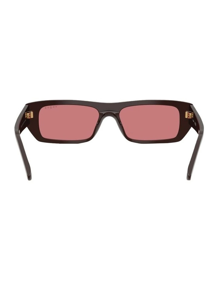 Acetate Sunglasses in Brown image 2