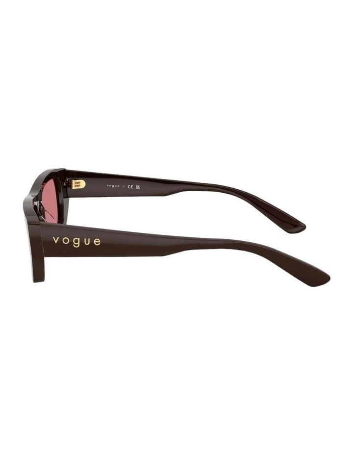Acetate Sunglasses in Brown image 3