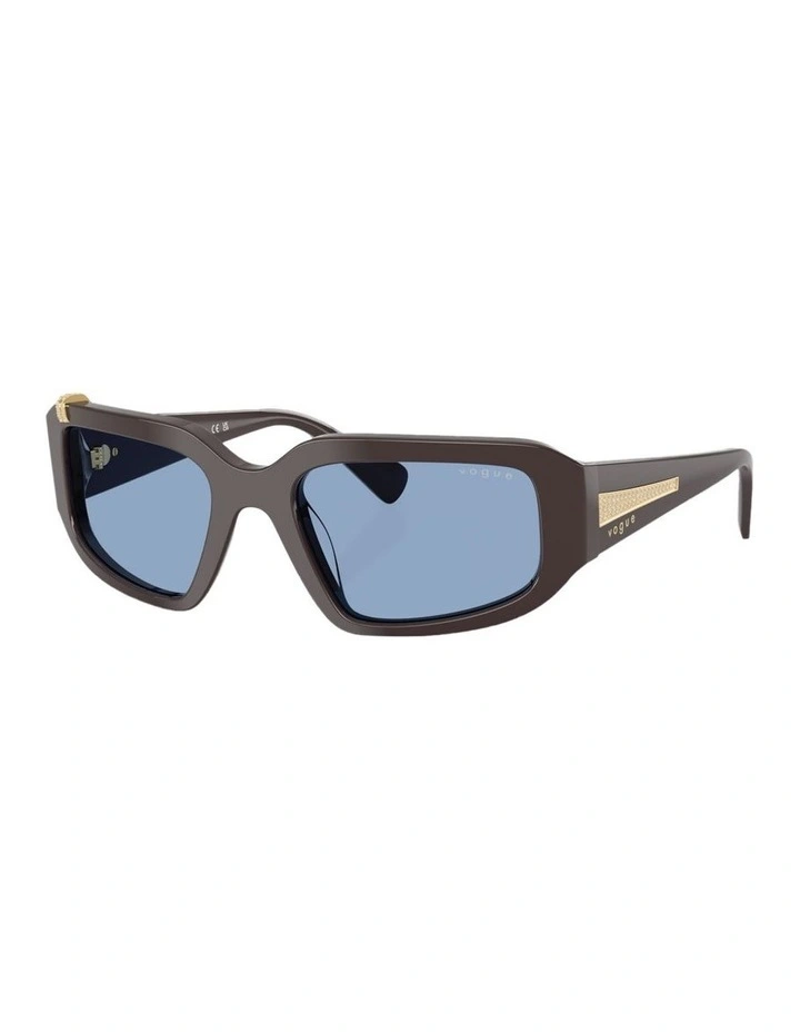 Acetate Sunglasses in Brown image 1
