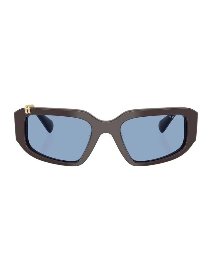 Acetate Sunglasses in Brown image 2