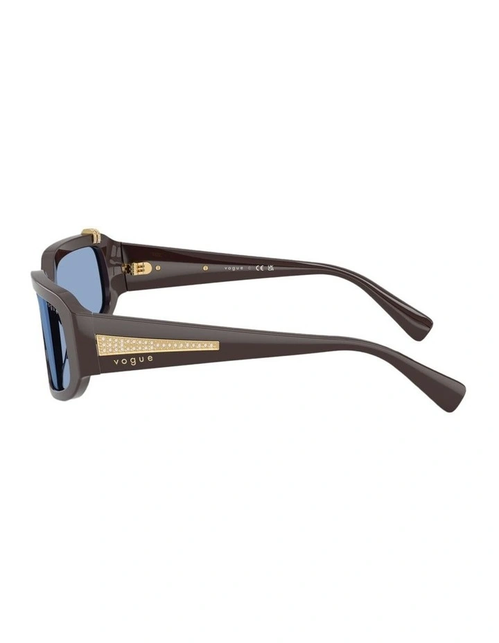 Acetate Sunglasses in Brown image 3