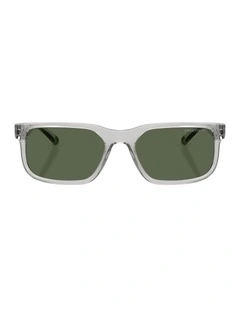 Injected Polarised Sunglasses in Grey