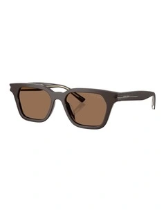 Acetate Sunglasses in Brown